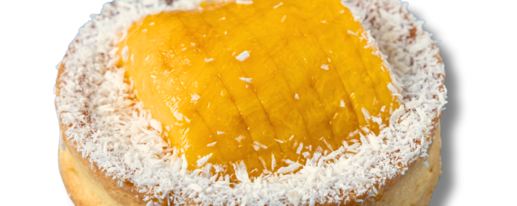 Mango Cheesecake Tart 1