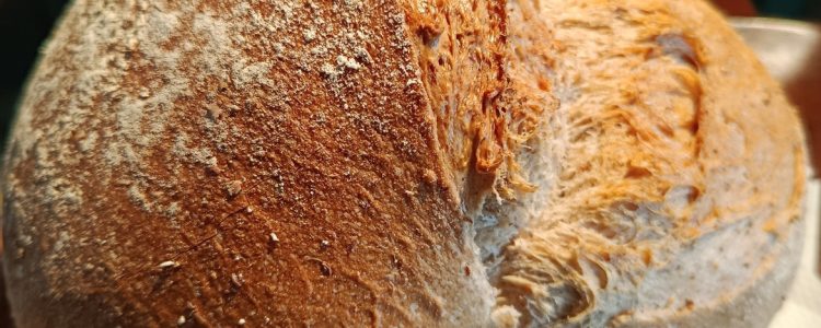 Sourdough Country Bread